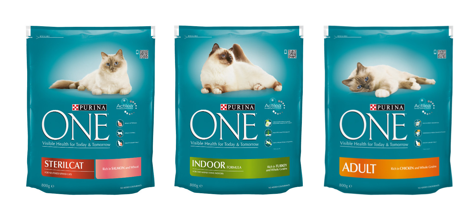 Purina ONE Gato