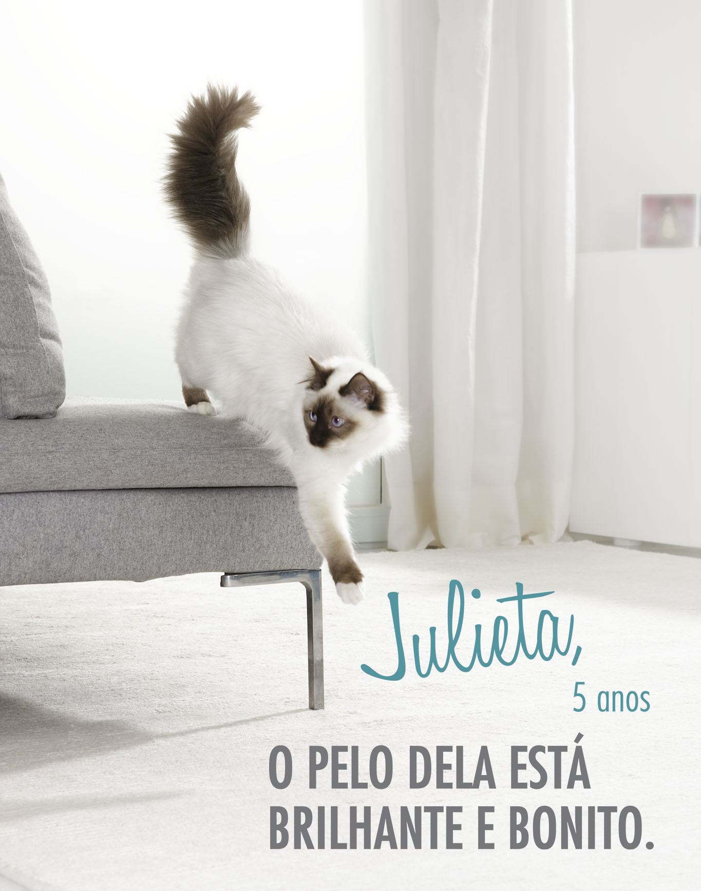 Purina ONE Gato