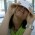 first_name_ea6b728f03774052bdfa0eafb0a1e8fd last_name_ea6b728f03774052bdfa0eafb0a1e8fd