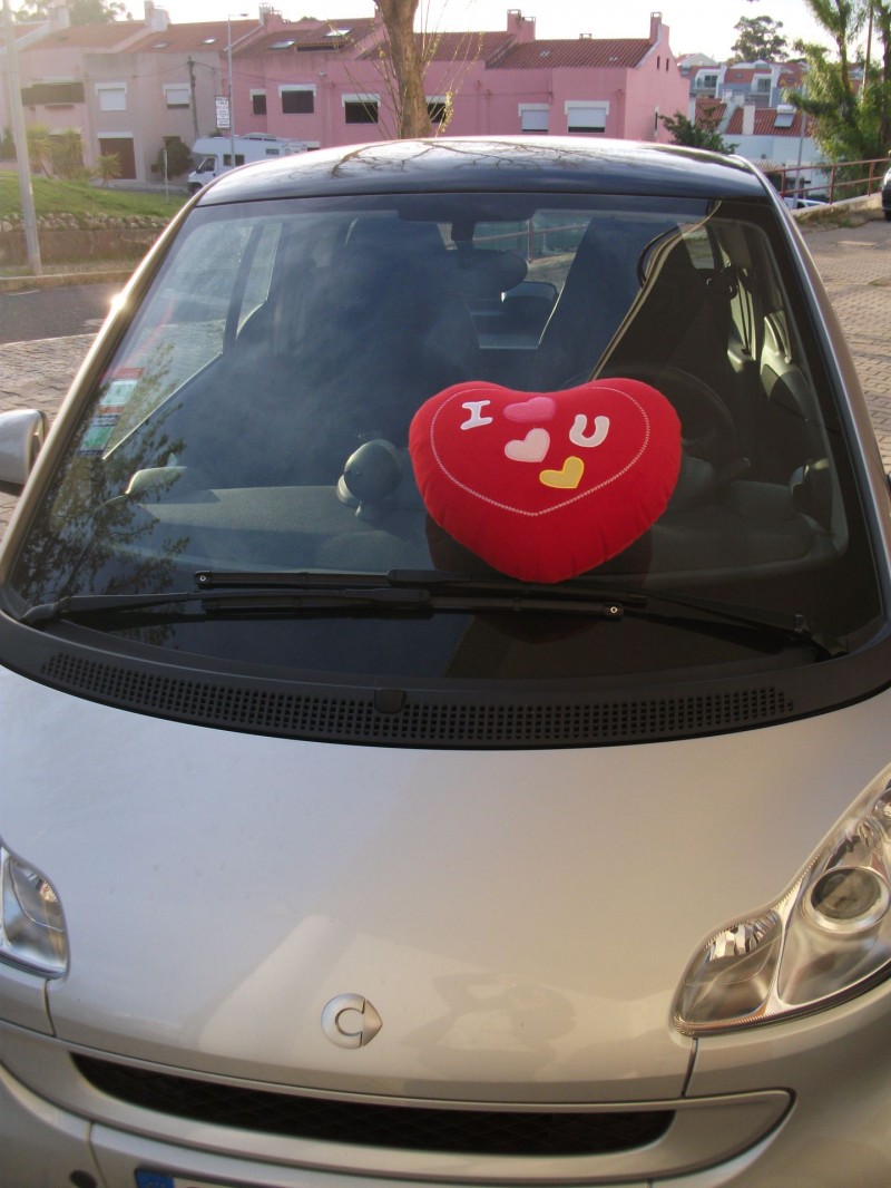 Meu Smart, minha Paixão