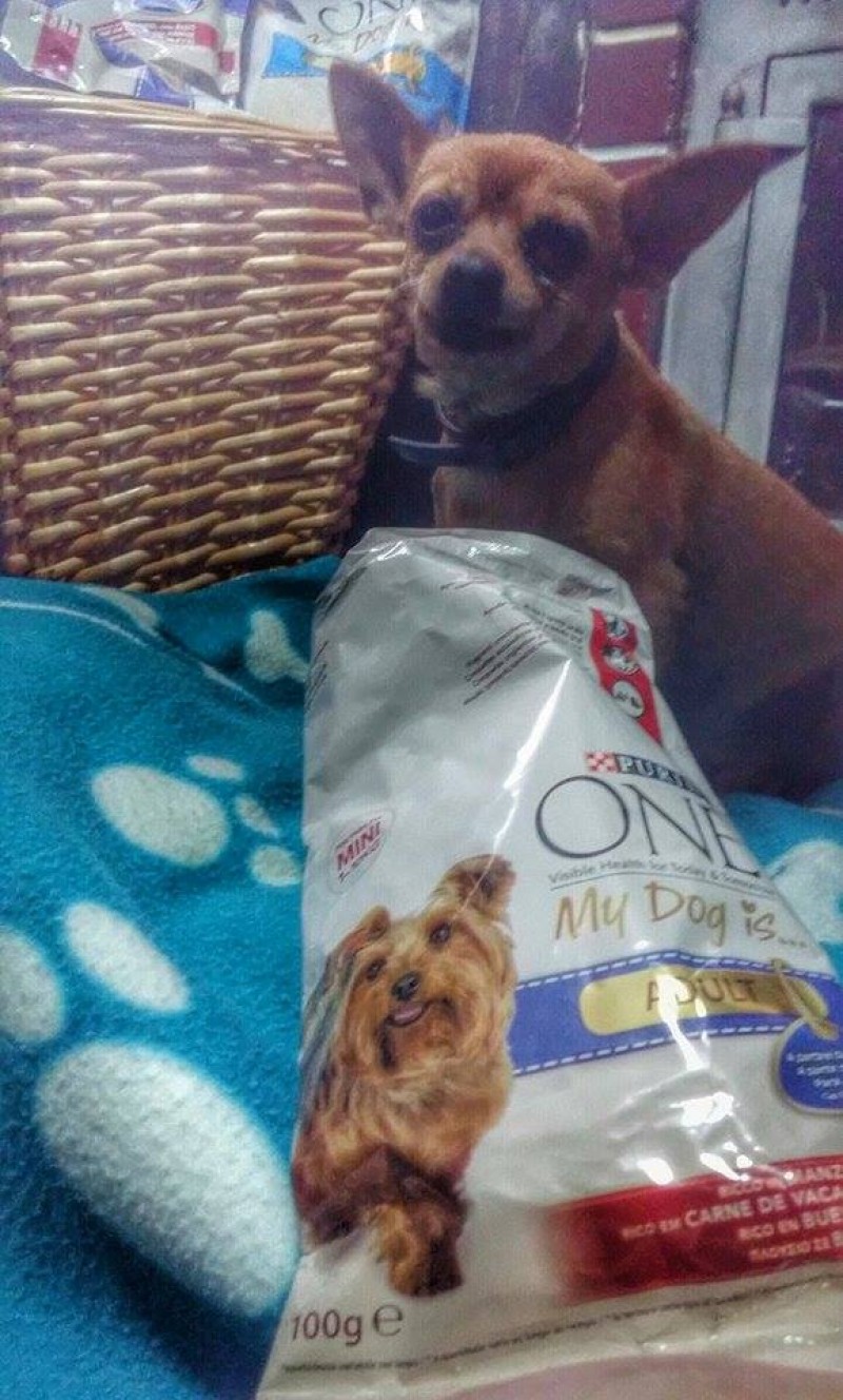O Pirolito e a sua ração.
