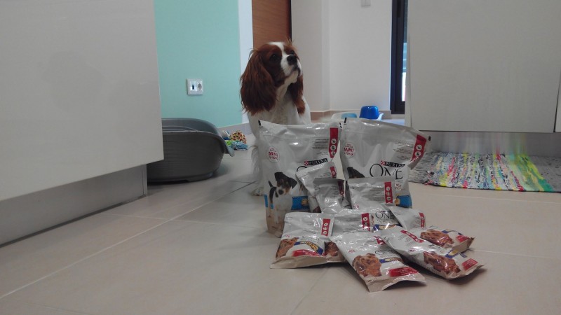 Argus e a Purina One 