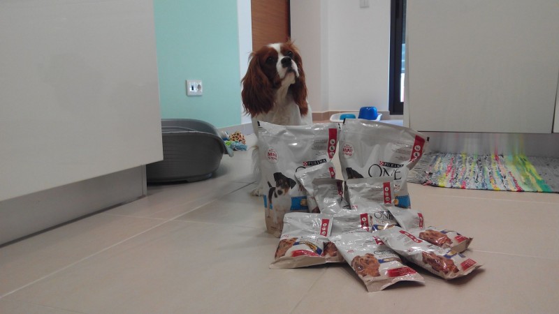 Argus e Purina One