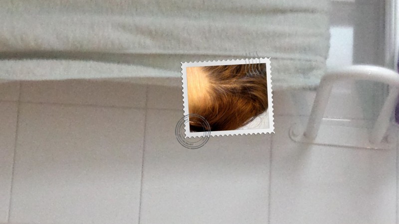 Mis canas