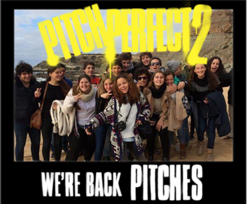 We'r back pitches! 