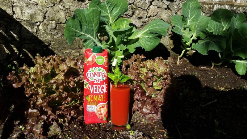 Couves, alfaces e... tomates!
