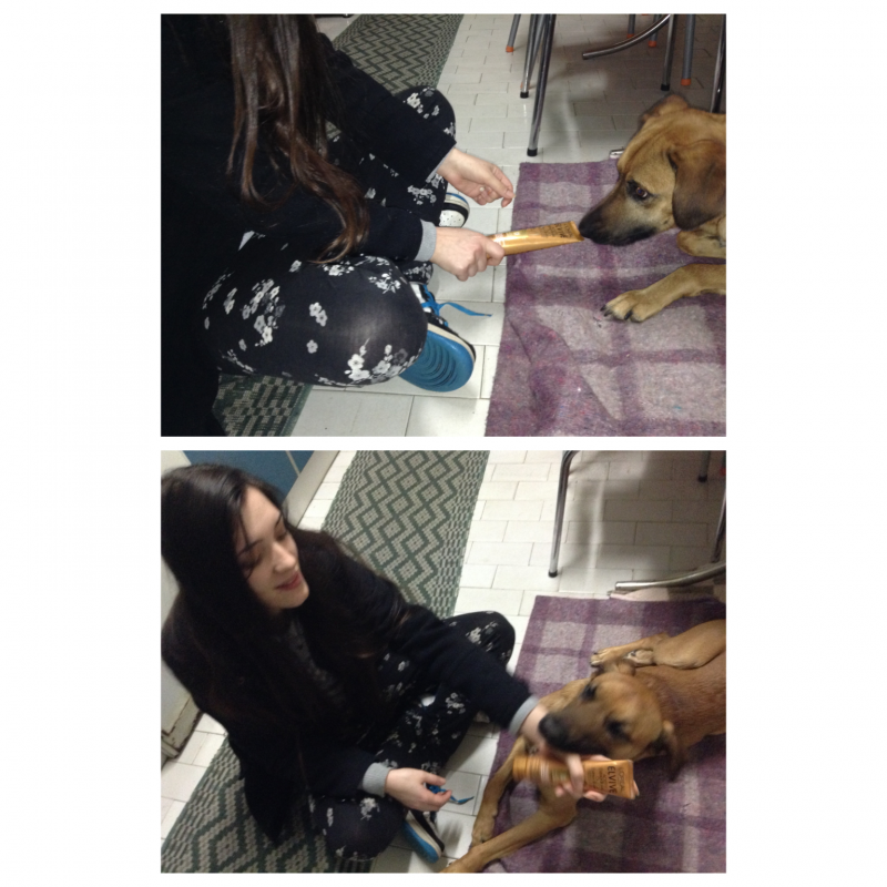 até o meu cão!! 