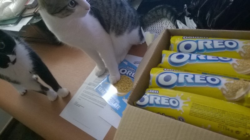 Nemo, Castiel e Oreos!