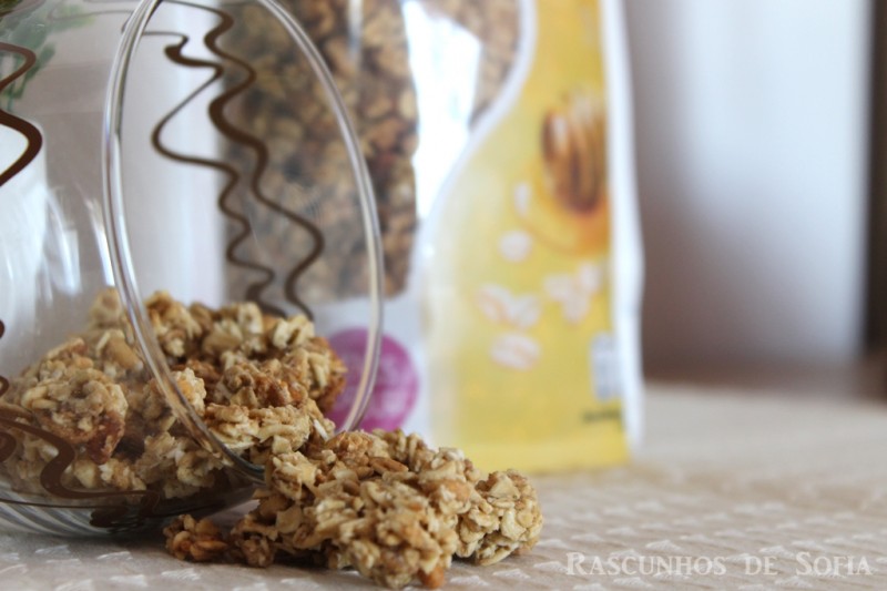 Granola de Aveia - Mel