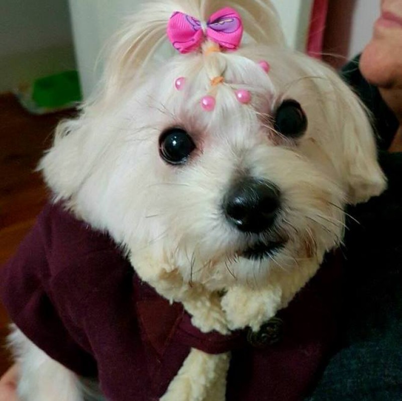 Ola, sou a Maria!