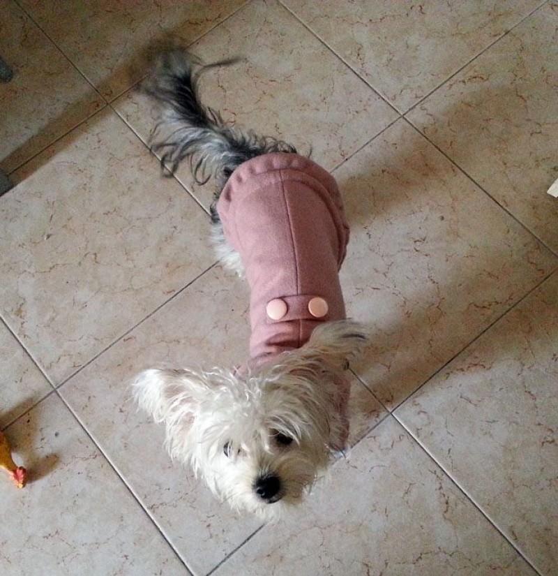 Maria fashion
