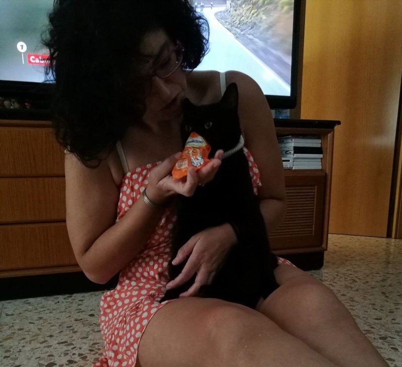 Mimando con Catisfactions