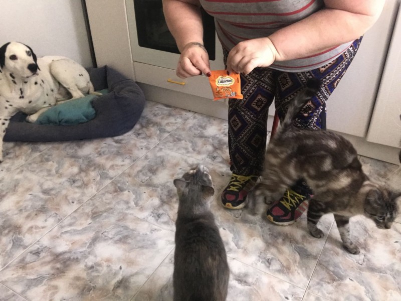 Mami trae algo nuevo