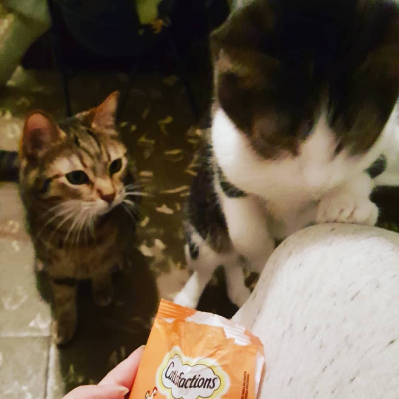 Miiii tesoooorooooo