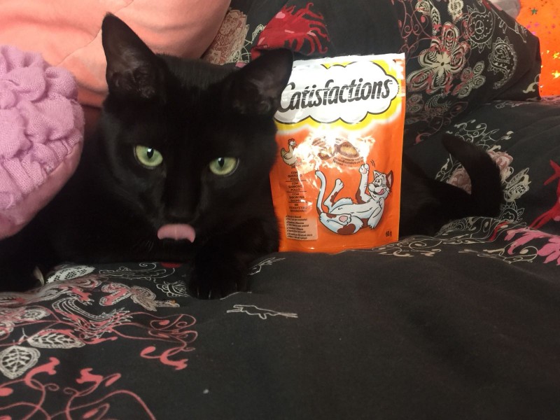 ¡¡¡¡Cómo le gustan!!! 