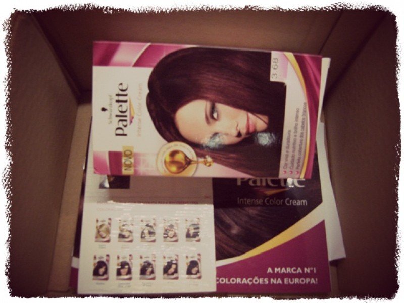 A abertura...coisinhas boas!