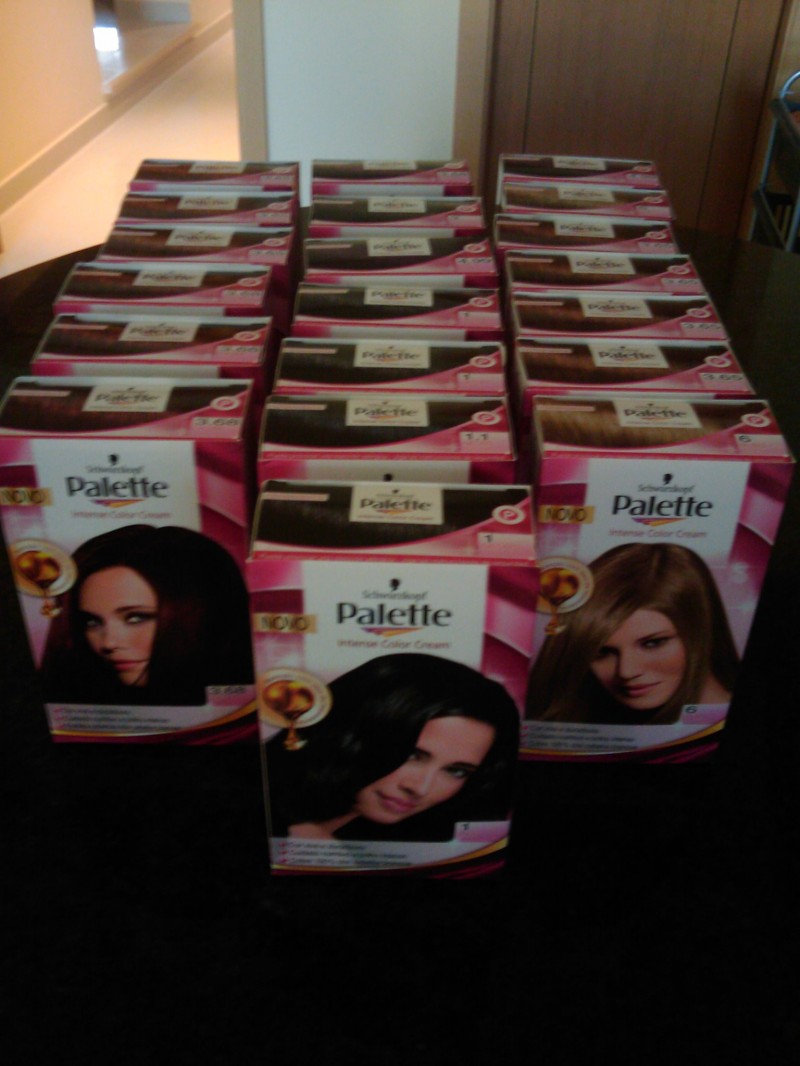 Campanha Palette Schwarzkopf