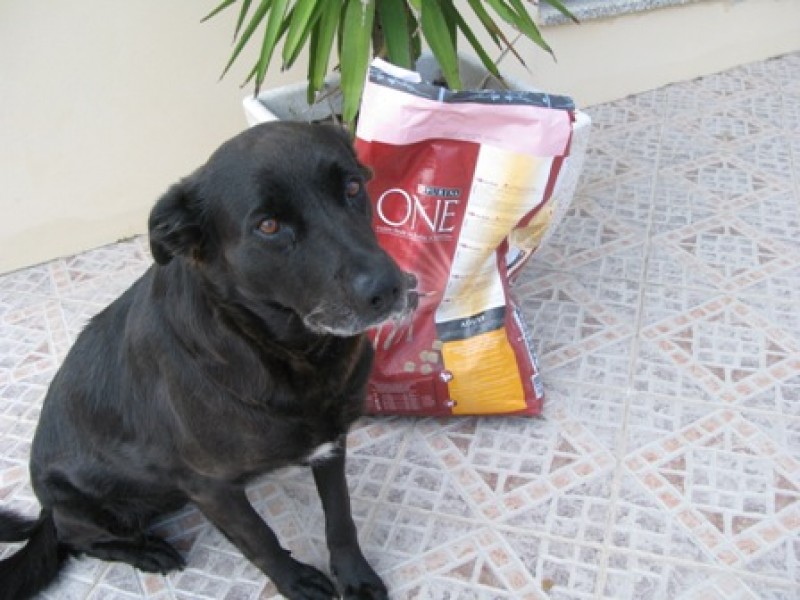 Obrigada Purina