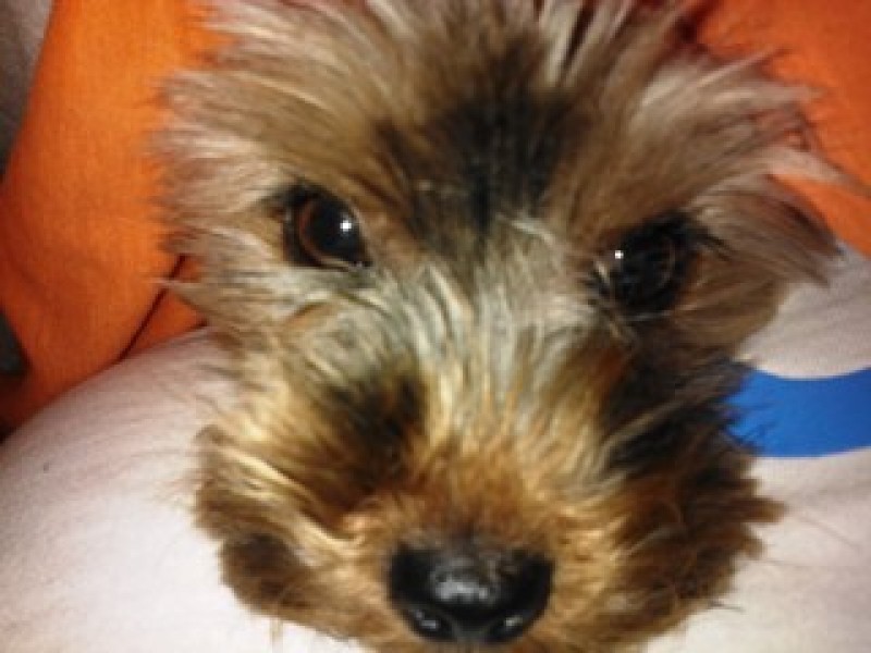 Sally