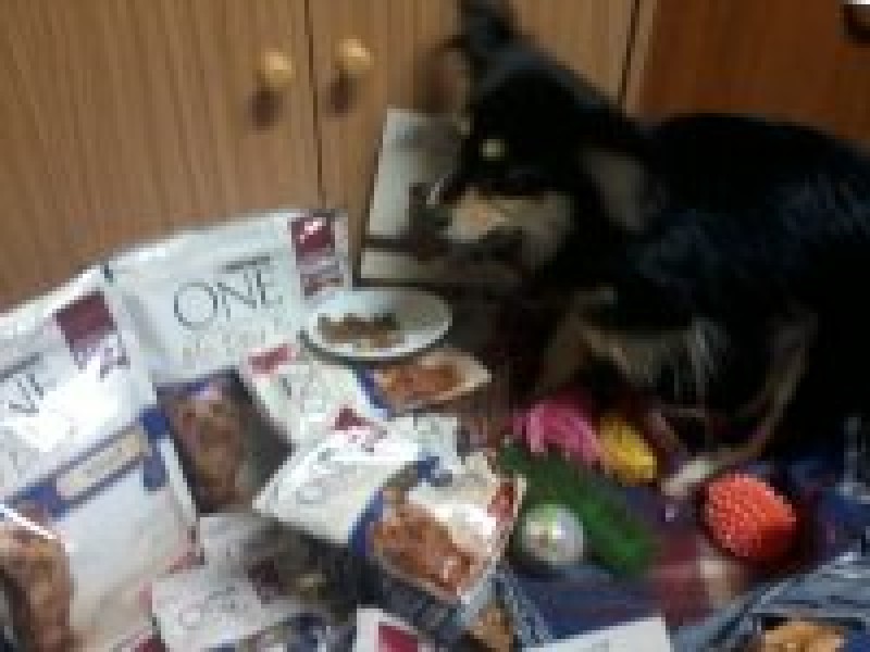 Purina one