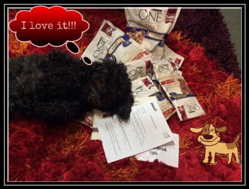 Kit Purina! ;)