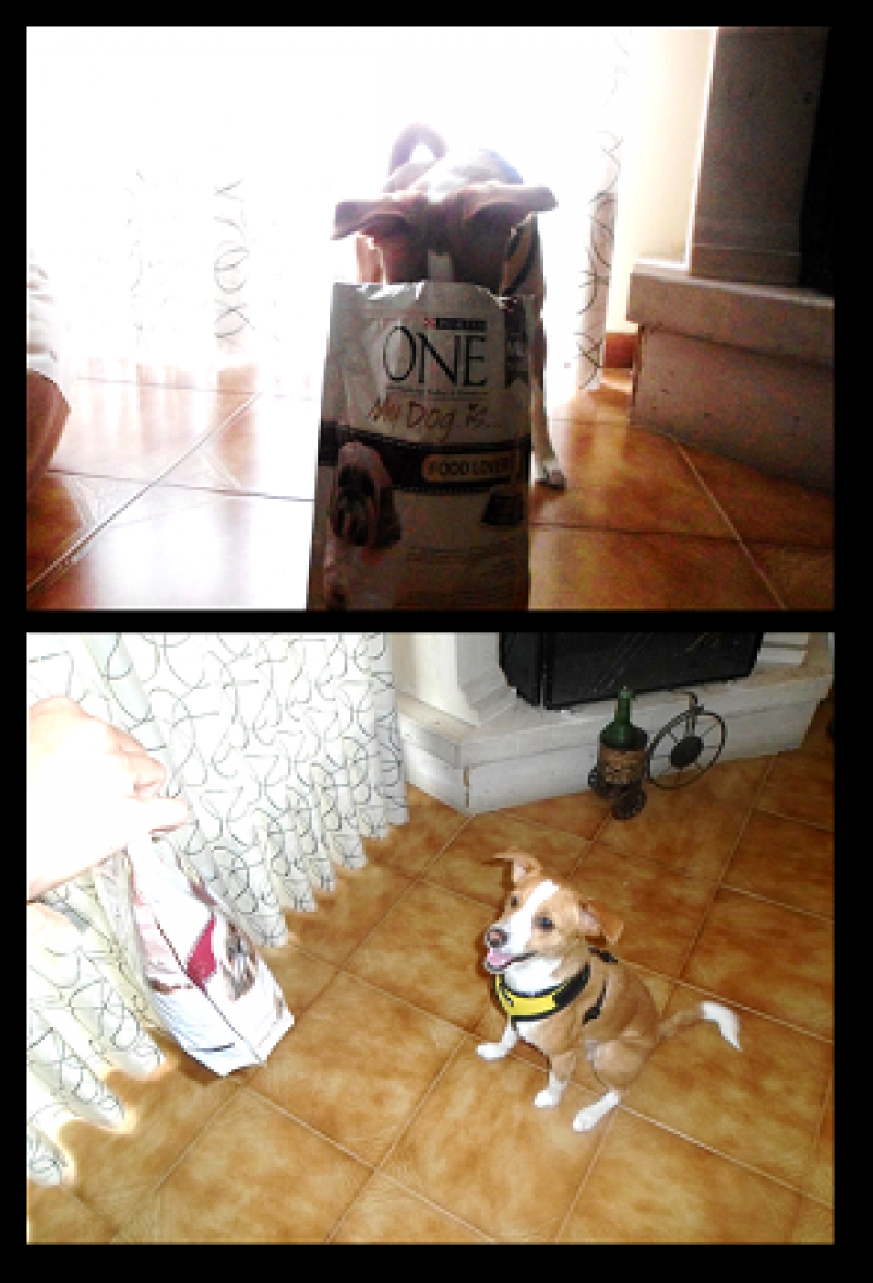 Kit recebido!