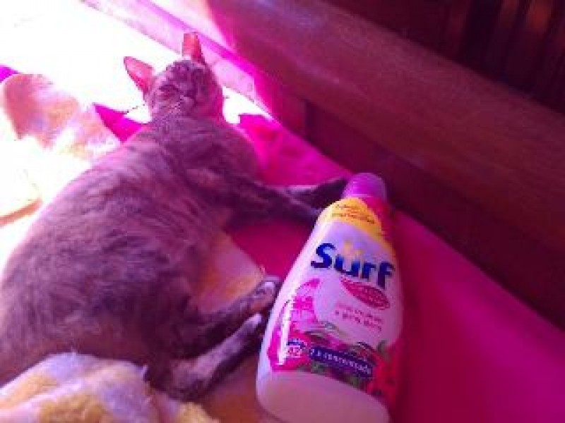 Kika e Surf