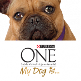 Purina ONE My Dog Is...