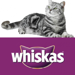 Whiskas® Simplesmente Bom