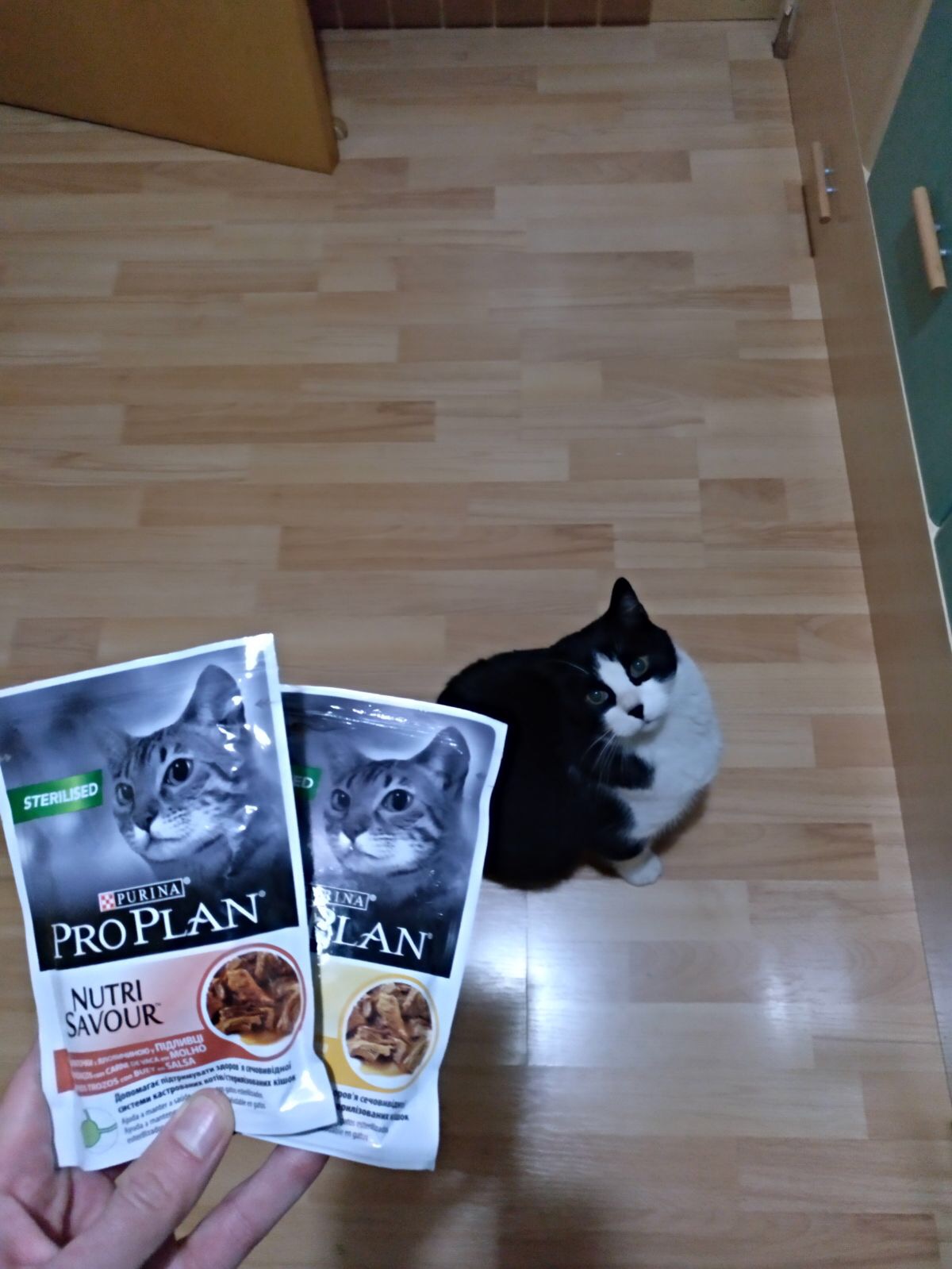 Purina® Pro Plan® Nutrisavour™