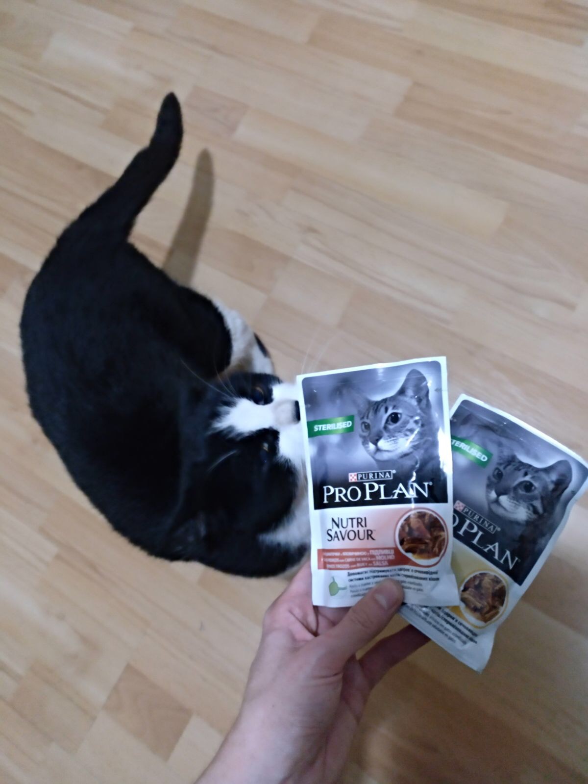 Purina® Pro Plan® Nutrisavour™