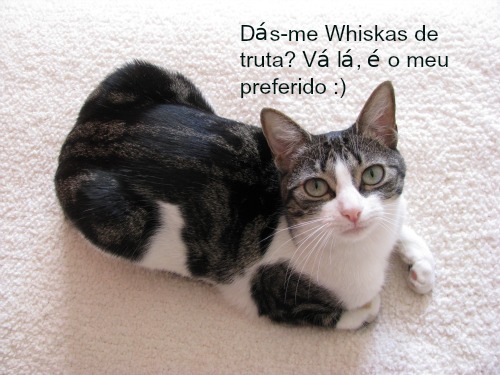 Whiskas® Simplesmente Bom II
